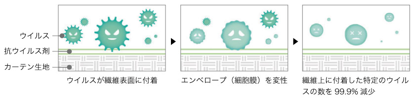 抗ウイルスカーテンのメカニズム