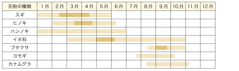 アレルギーの原因になる花粉の年間の飛散時期です。スギ、ヒノキ、ブタクサなど、アレルギーの物質は１年を通して飛散しています。