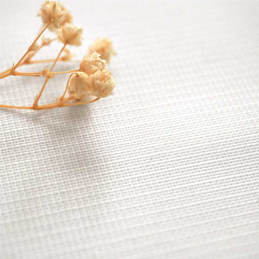 「遮熱とUVカット＋防汚レース」の生地アップです。白のシンプルな生地です。