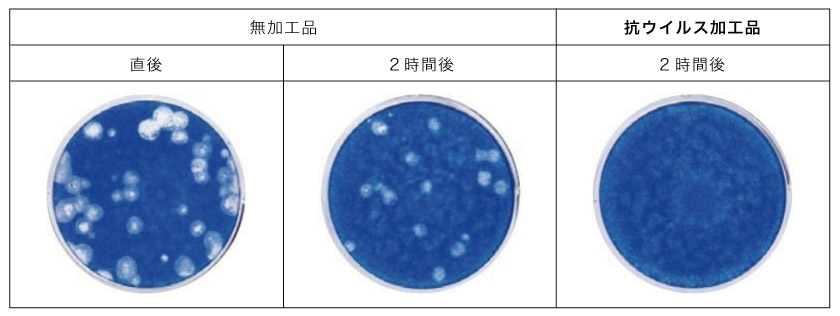 抗ウイルス・制菌加工のカーテンと、非加工カーテンの菌の比較です。