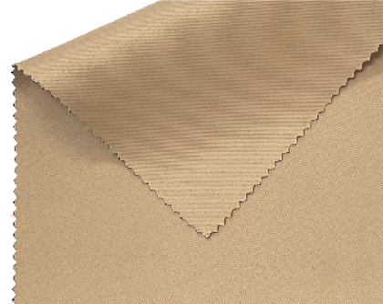 ベージュ(遮光1級)色見本