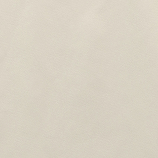 アイボリー(遮光1級)色見本