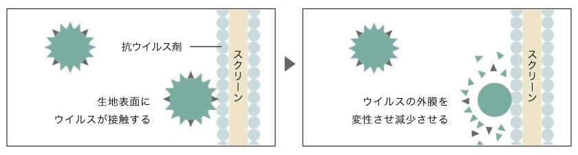 抗ウイルス加工のメカニズムです。抗ウイルス加工カーテン表面にウイルスが接触すると、ウイルスの外膜を変性させ減少させます。
